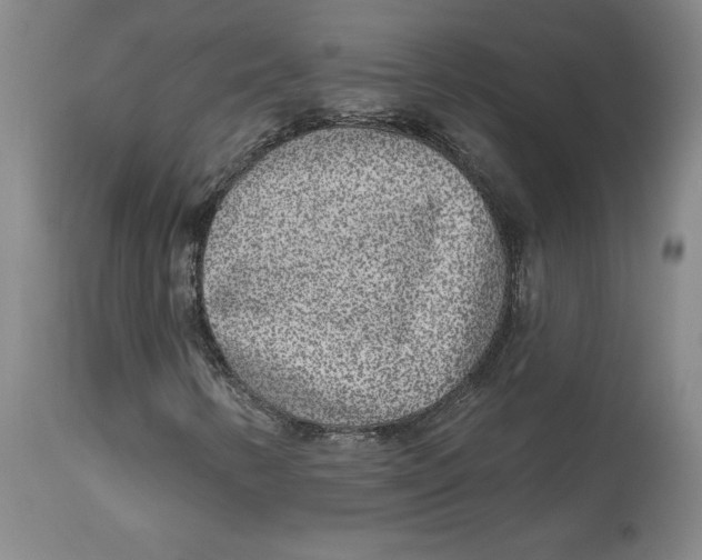 X0000113631346200910091546