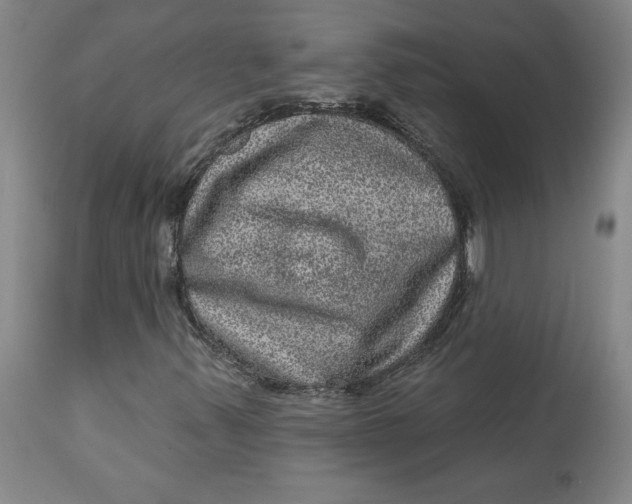 X0000113631347200910091546