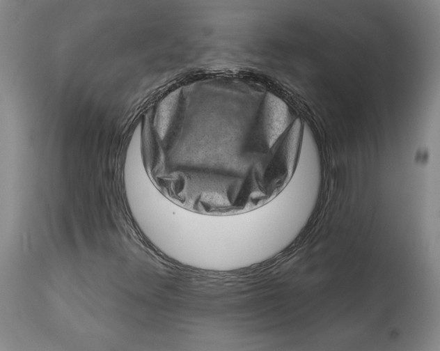 X0000113631348200910091546