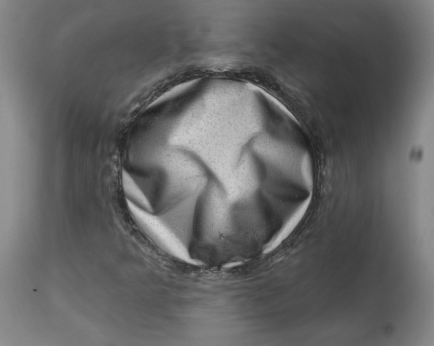 X0000113631349200910091546