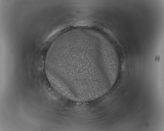 X0000113631350200910091546