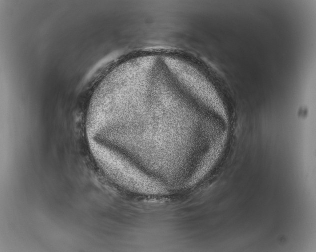 X0000113631351200910091546