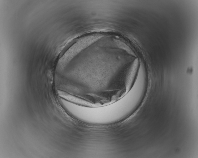X0000113631353200910091545