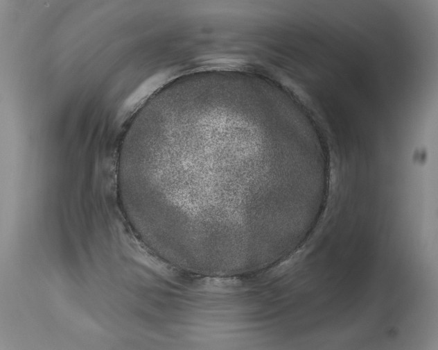 X0000113631354200910091545