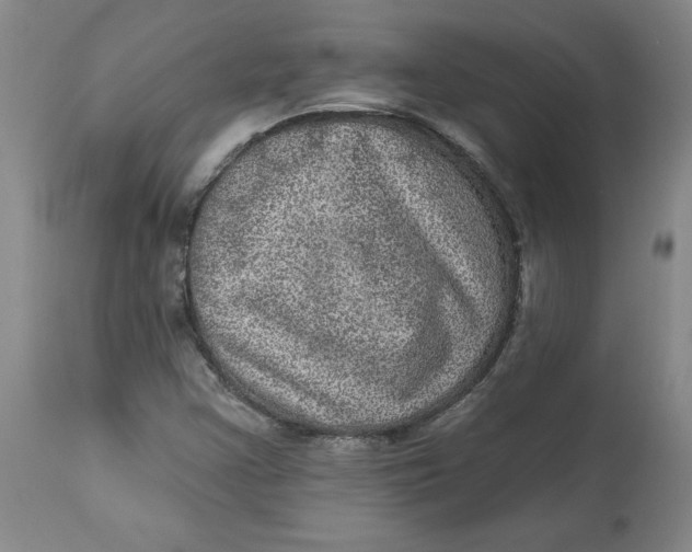X0000113631355200910091545