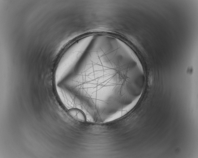 X0000113631356200910091545