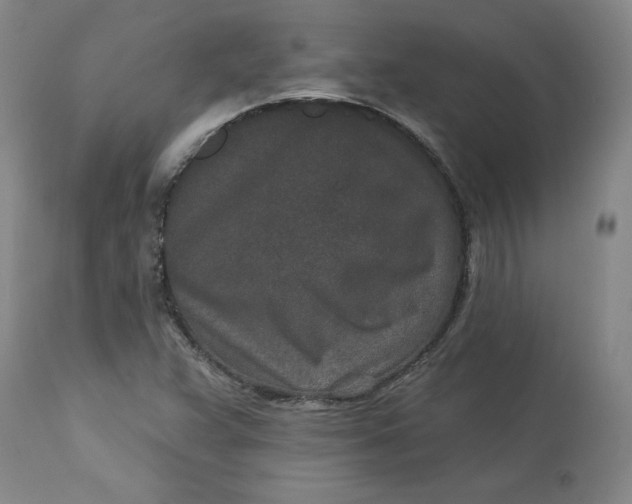 X0000113631359200910091545