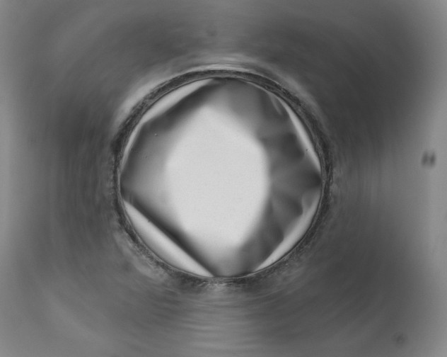 X0000113631360200910091545