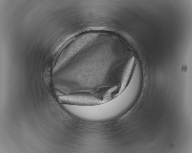 X0000113631361200910091545