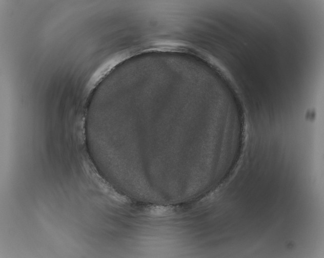 X0000113631362200910091545
