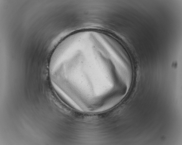 X0000113631363200910091545