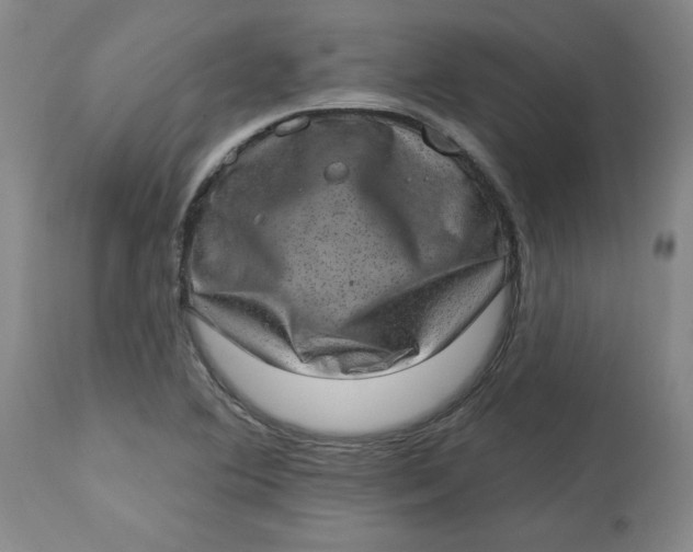 X0000113631364200910091545