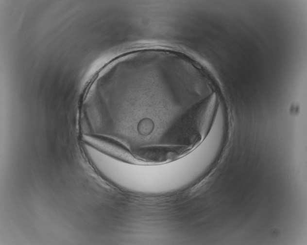 X0000113631365200910091545