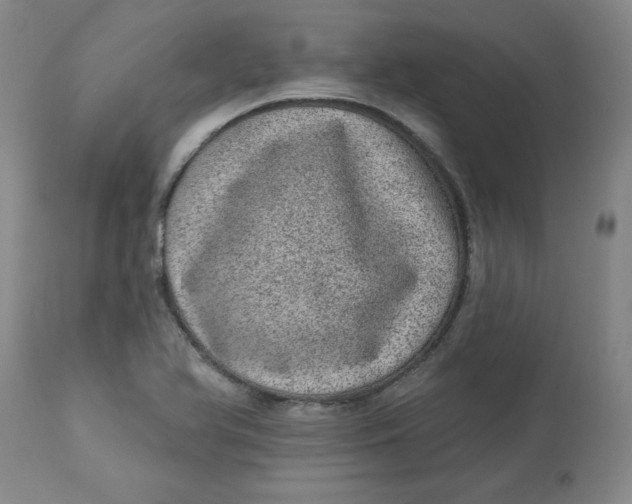 X0000113631366200910091545