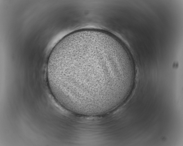 X0000113631367200910091545