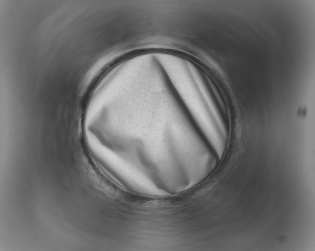 X0000113631368200910091545