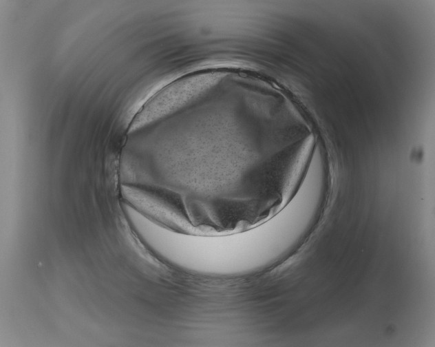 X0000113631369200910091545