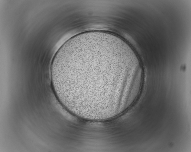 X0000113631370200910091545