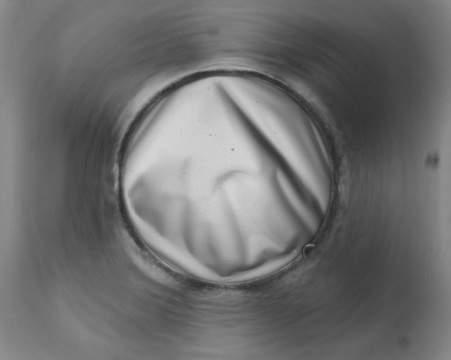 X0000113631372200910091545
