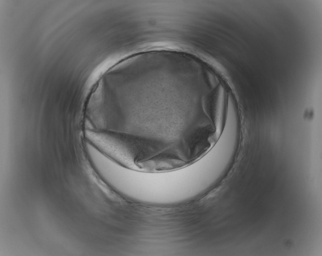 X0000113631373200910091545