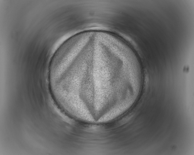 X0000113631375200910091545