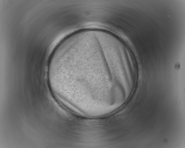 X0000113631376200910091545