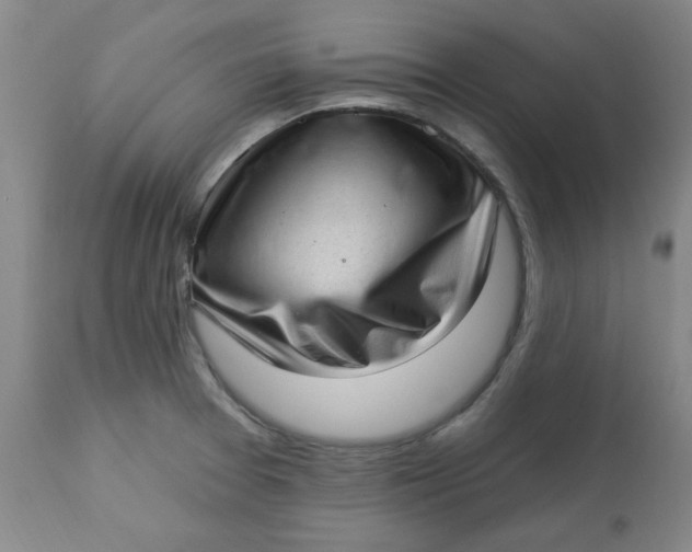 X0000113631377200910091545