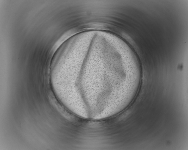 X0000113631378200910091545