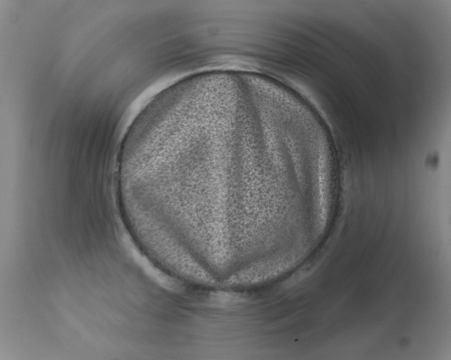 X0000113631379200910091545