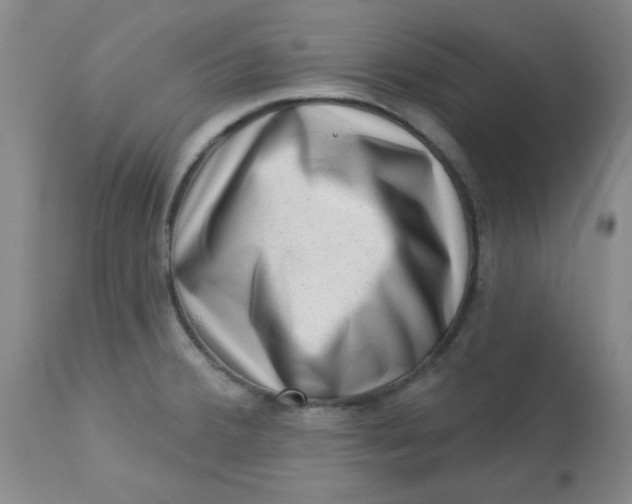 X0000113631380200910091545
