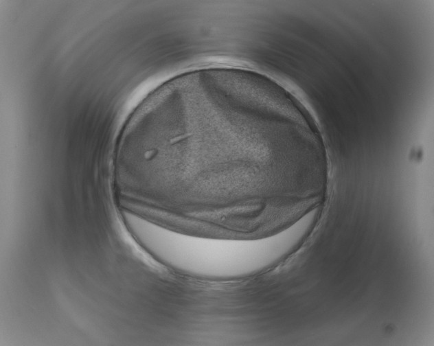 X0000113631381200910091545