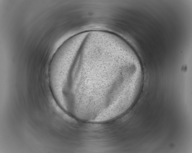 X0000113631382200910091545