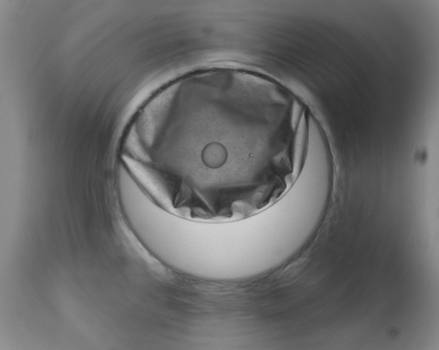 X0000113631384200910091545
