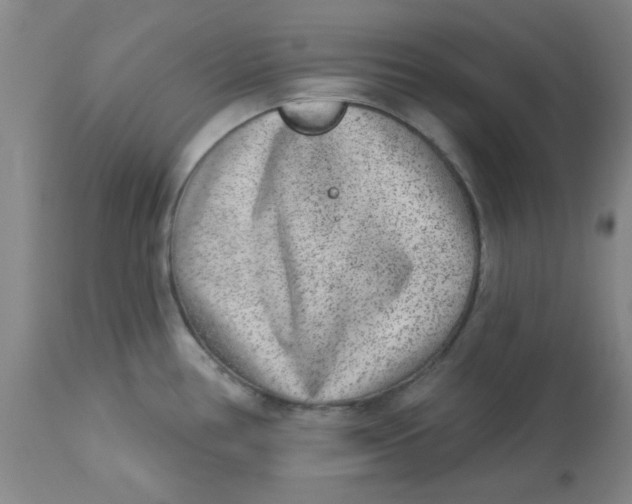 X0000113631386200910091545