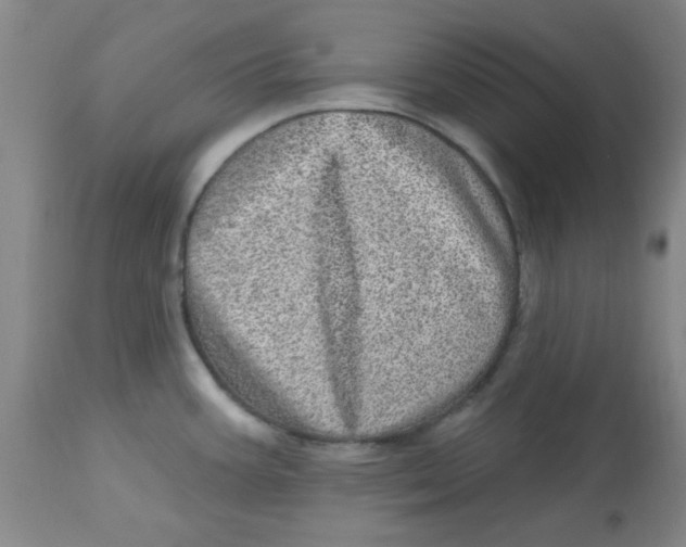 X0000113631387200910091545