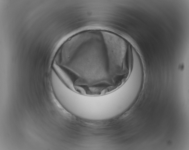 X0000113631388200910091545