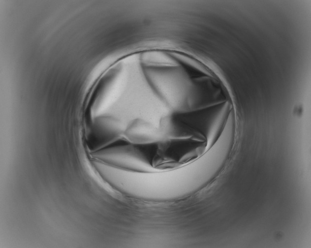 X0000113631389200910091545