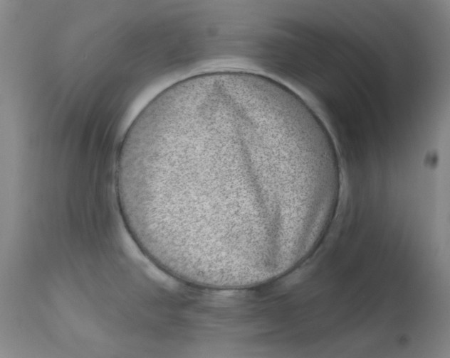 X0000113631390200910091545