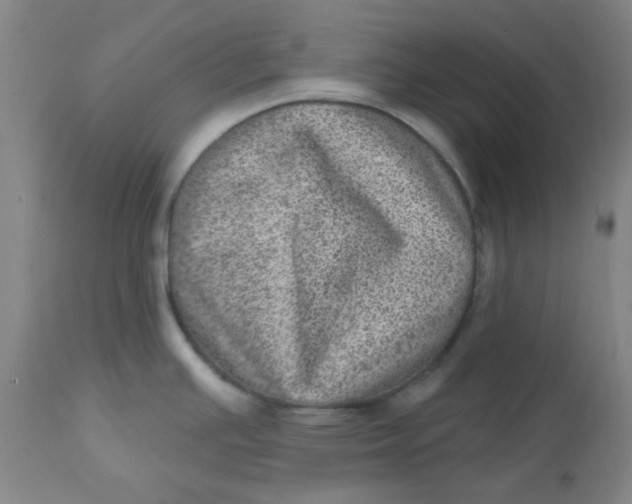X0000113631391200910091545