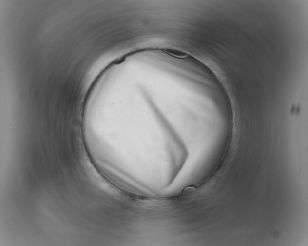 X0000113631392200910091545