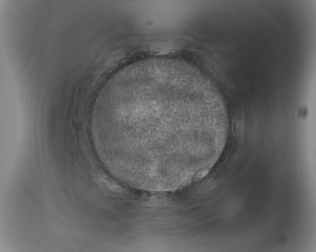 X0000113631393200910091544