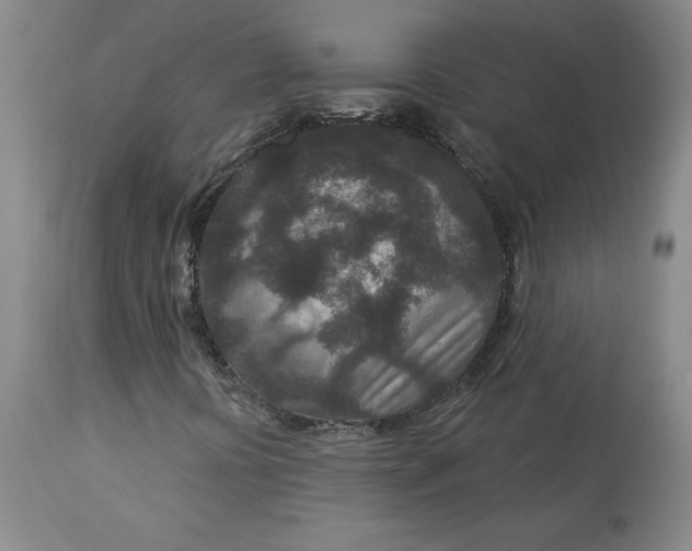 X0000113631394200910091544