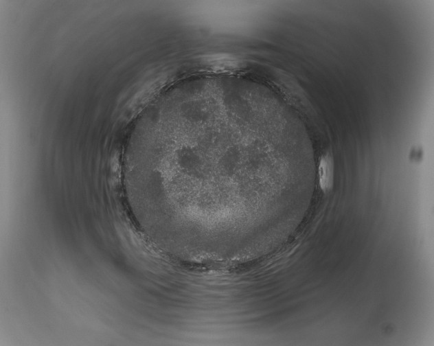 X0000113631395200910091544
