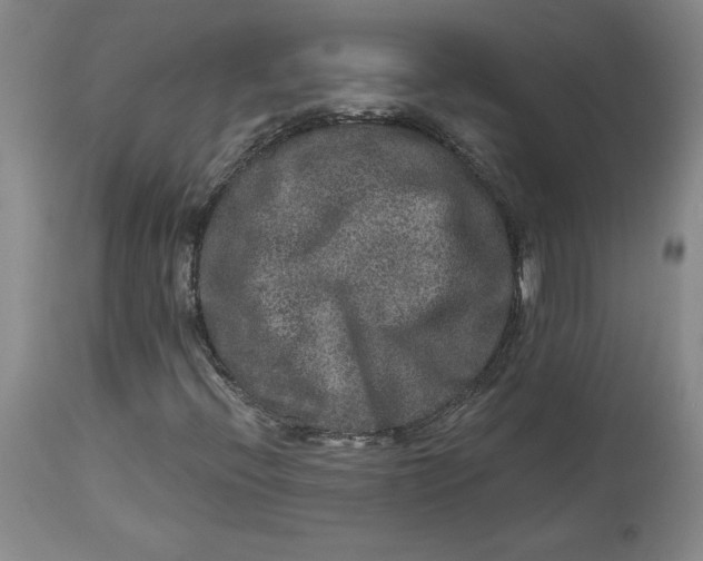 X0000113631396200910091544