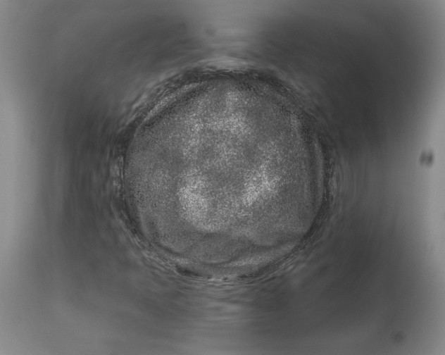 X0000113631397200910091544