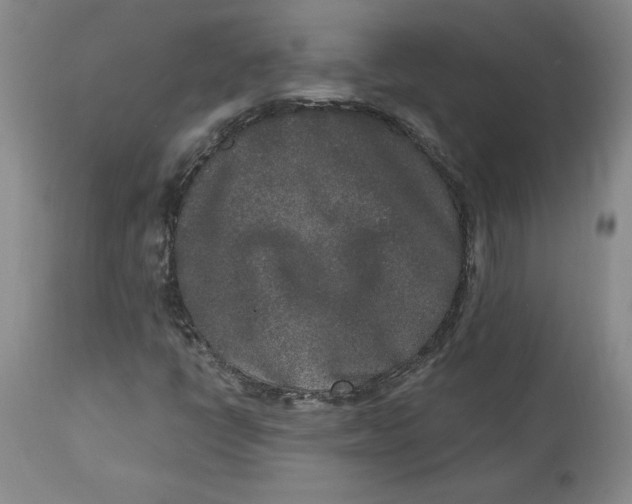 X0000113631398200910091544
