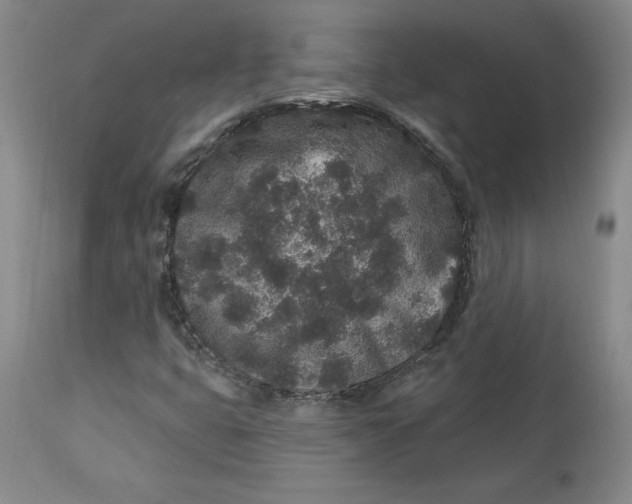 X0000113631399200910091544