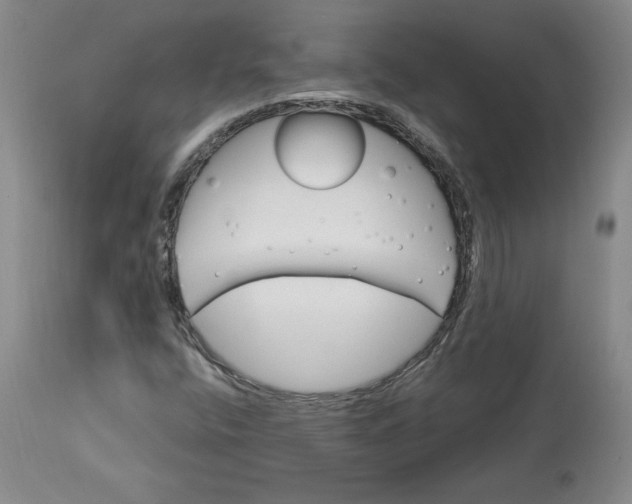 X0000113631400200910091544