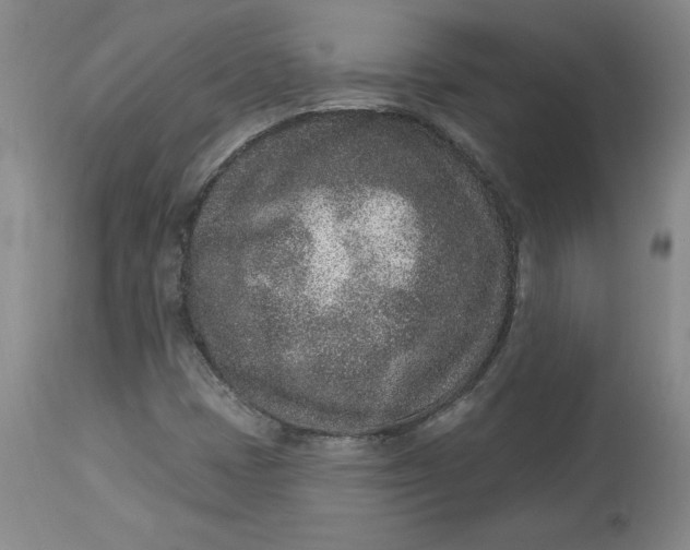 X0000113631401200910091544