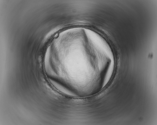 X0000113631402200910091544